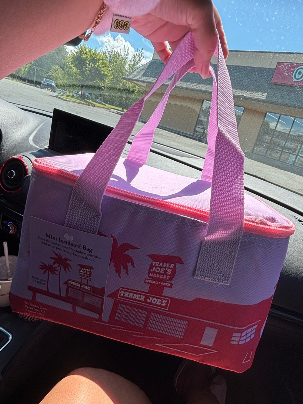 Mini Lavender Insulated Trader Joes Tote Bag